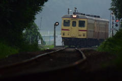 梅雨の朝