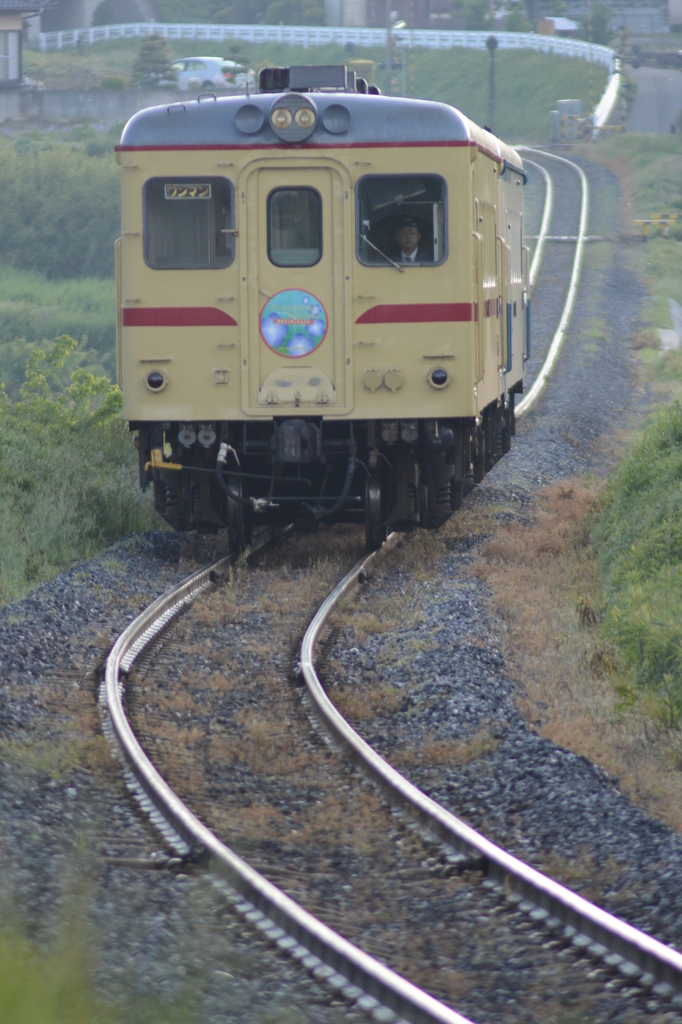 ネモフィラシャトル１