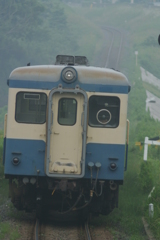 夏の朝もや 夏の朝もや