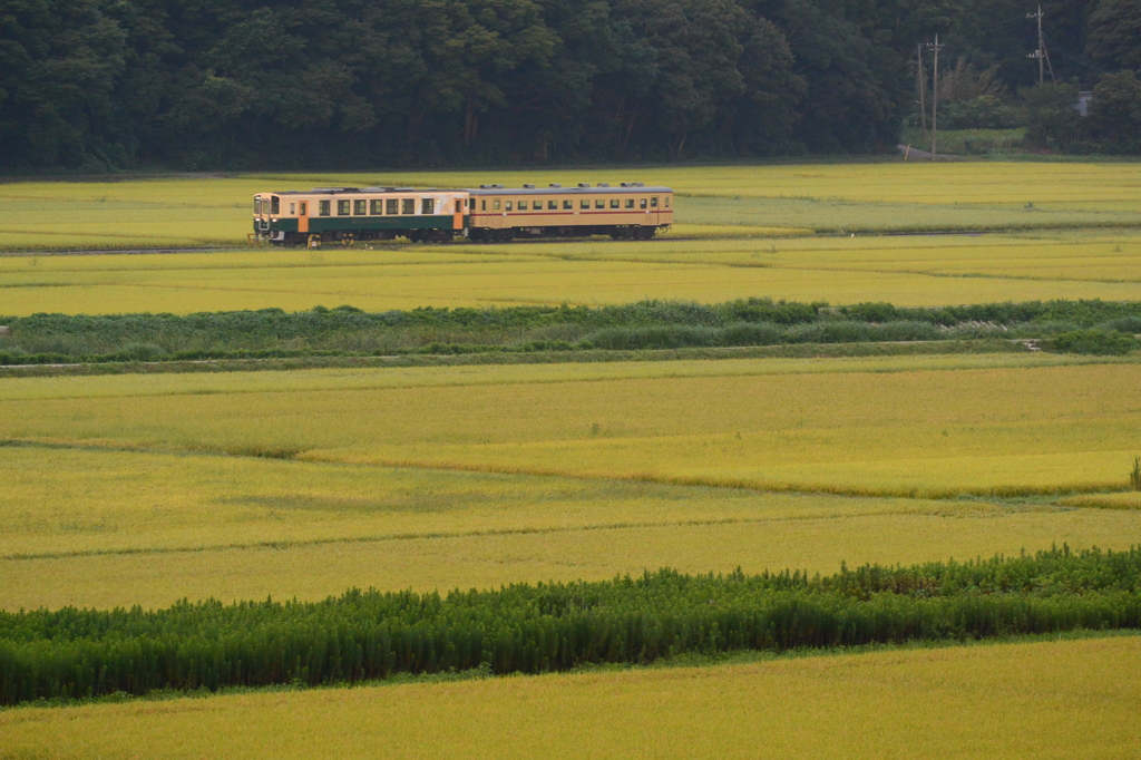 水田地帯俯瞰２