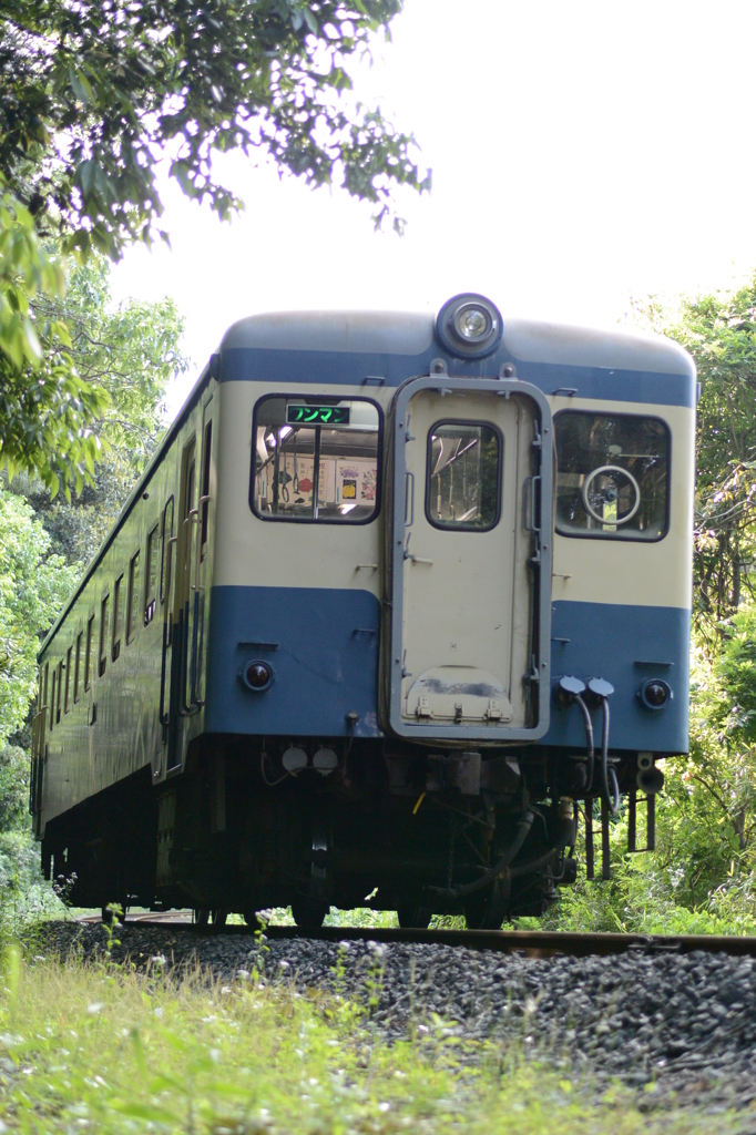 林間の気動車