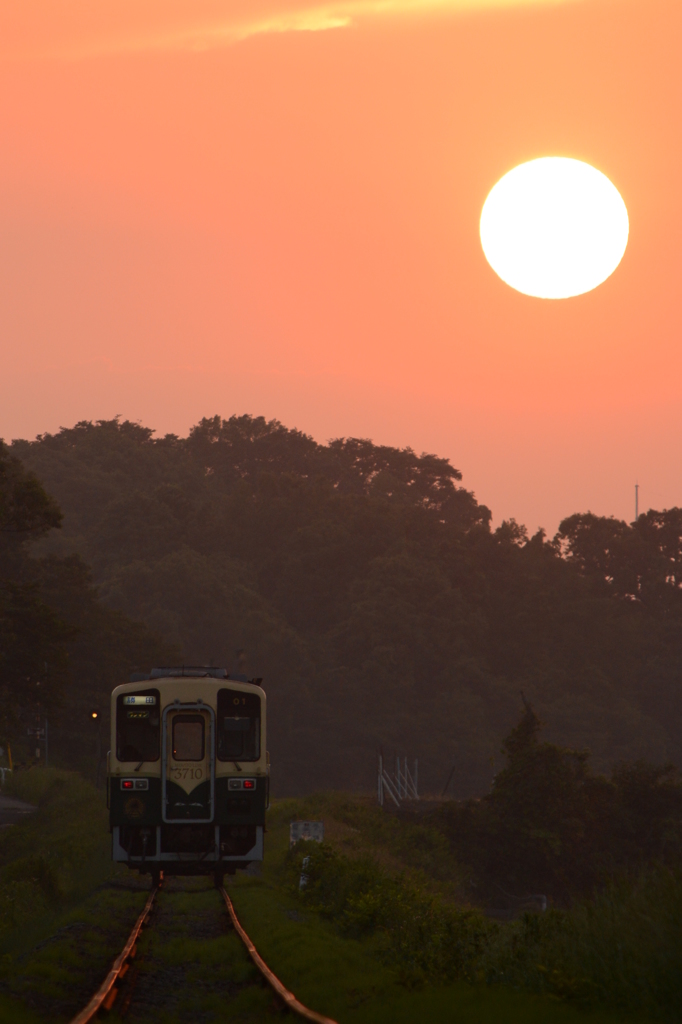夕日に向かって
