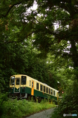 緑深き山