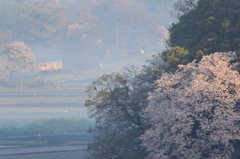 里山の朝(旧型二連)