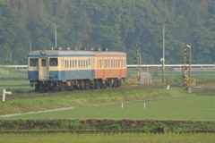 水田地帯を行く