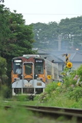 ヒマワリの咲く鉄路