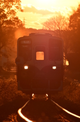 朝日に照らされて