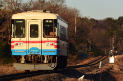 高校も始まったようです。
