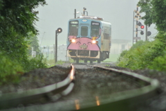 今日は雨