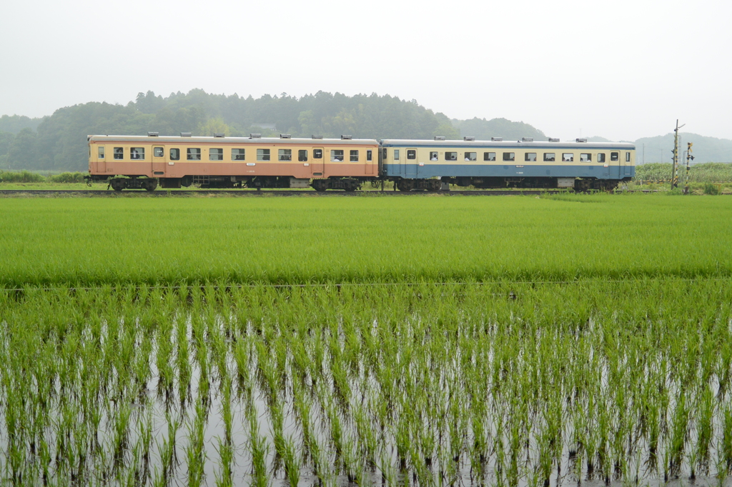 旧型気動車の通勤通学列車