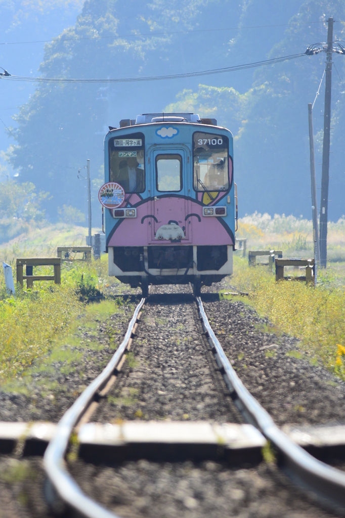 連なる踏切（反対側）