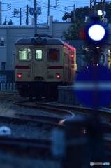 青い朝