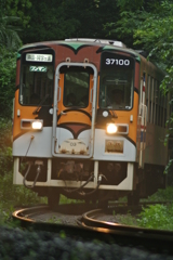 アニマルのライト