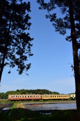 山の中から青空