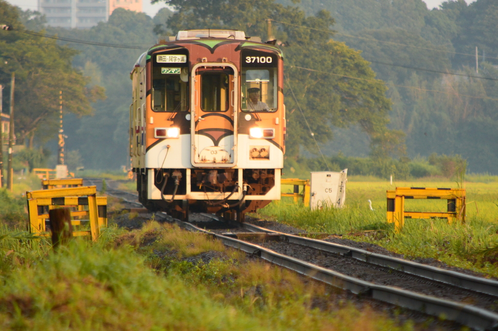 水田地帯の踏切