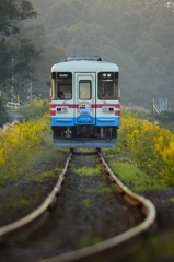 夕暮れ