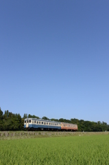 青い気動車，青空の下