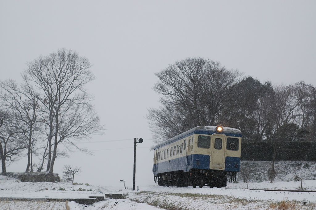 雪の朝