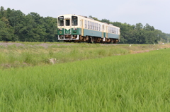 曙光の大地二連