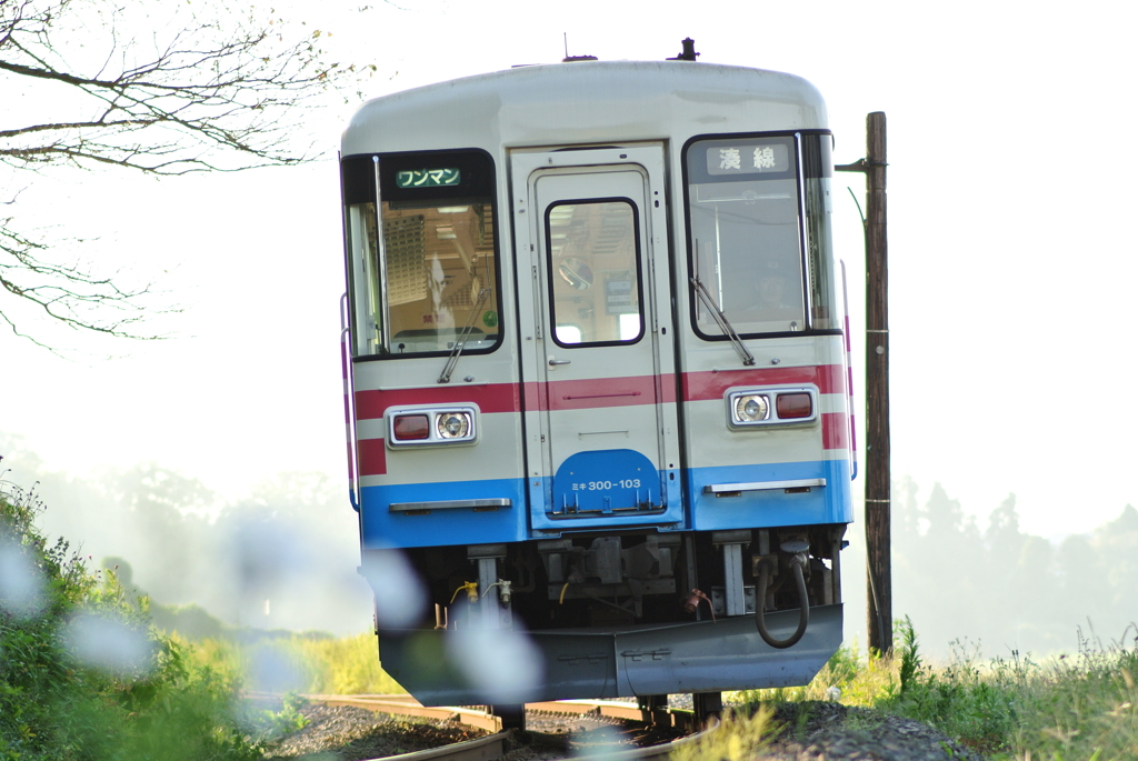 日陰に輝くボディー