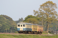 三色の気動車～いつもの築堤～
