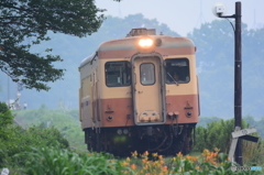 夏の花咲く