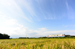 薄雲
