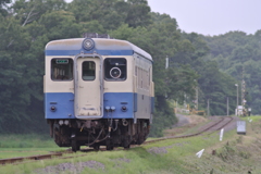 草が刈られた築堤