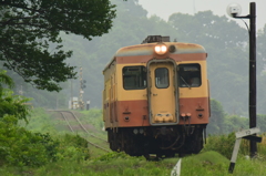 梅雨霞