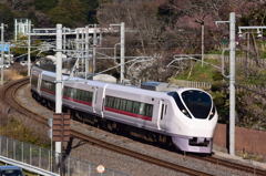 梅花咲く偕楽園下