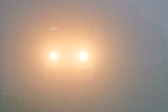 霧のヘッドライト