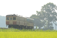 冷房車運用