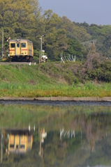 緑の田園