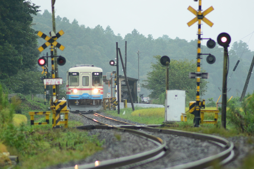 雨の中根駅