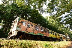 アニマル森を行く