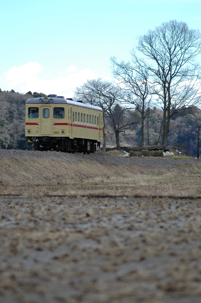 春を待つ田んぼ