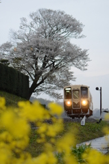 穀雨