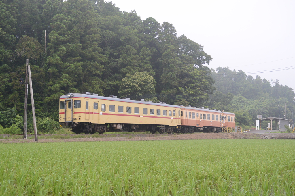 中根駅発車