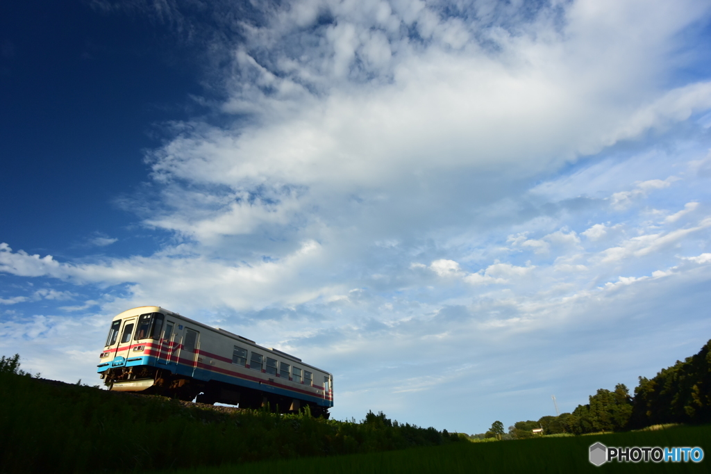 夏の風