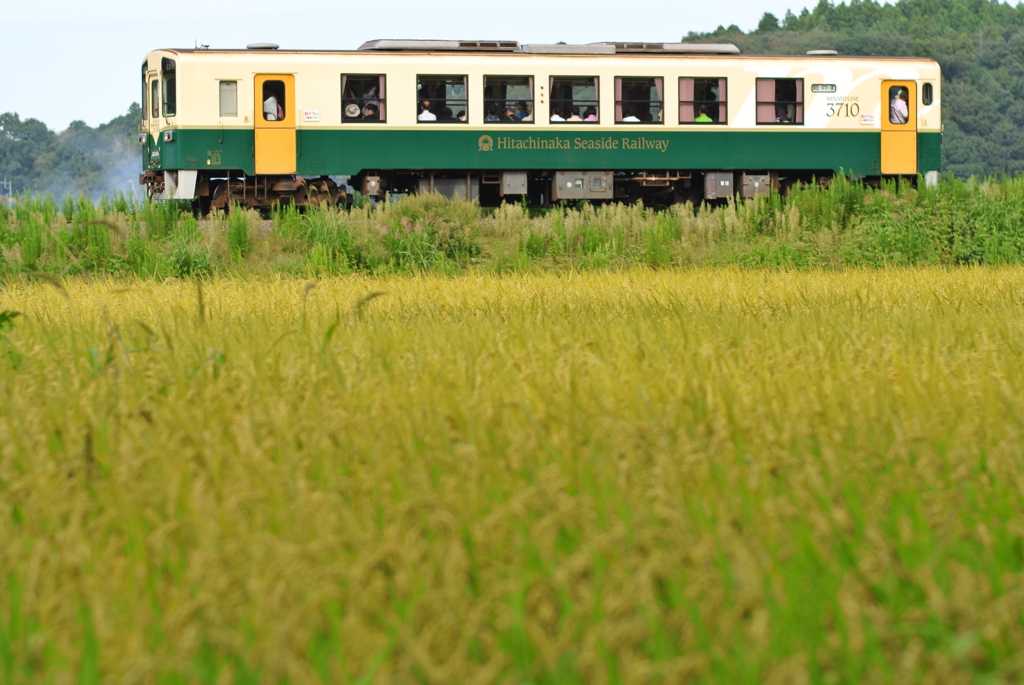 たくさんのお客さん
