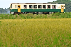 たくさんのお客さん