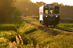 夕方列車