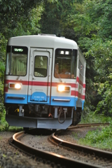 ライト，ピカリン