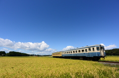 水田と青空