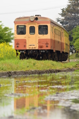旧型の朝列車