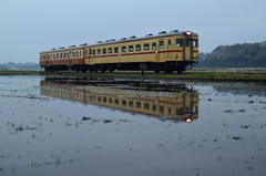 旧型二連水田を行く