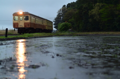 雨の朝列車