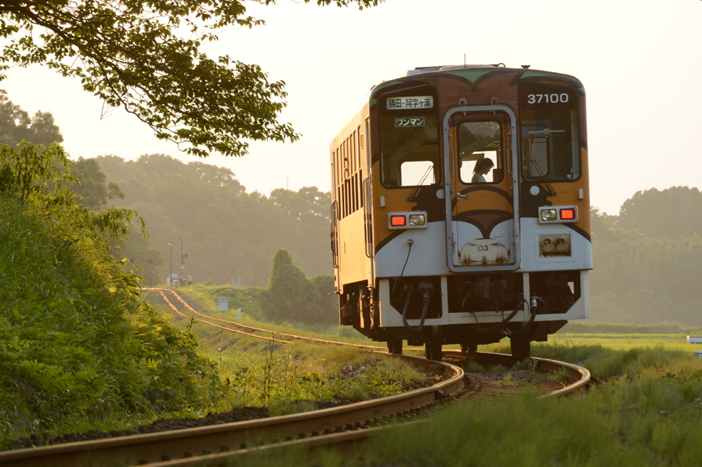窓のシルエット