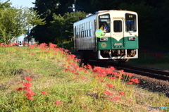 彼岸花咲く駅
