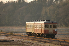 田んぼの中を行く